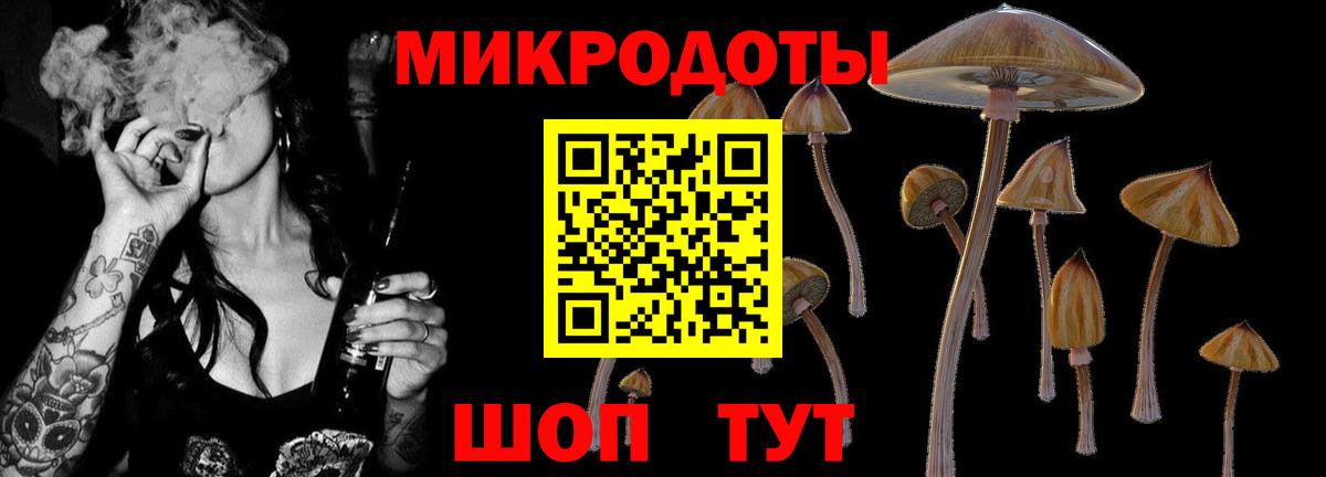 Псилоцибиновые грибы Cubensis Лабинск
